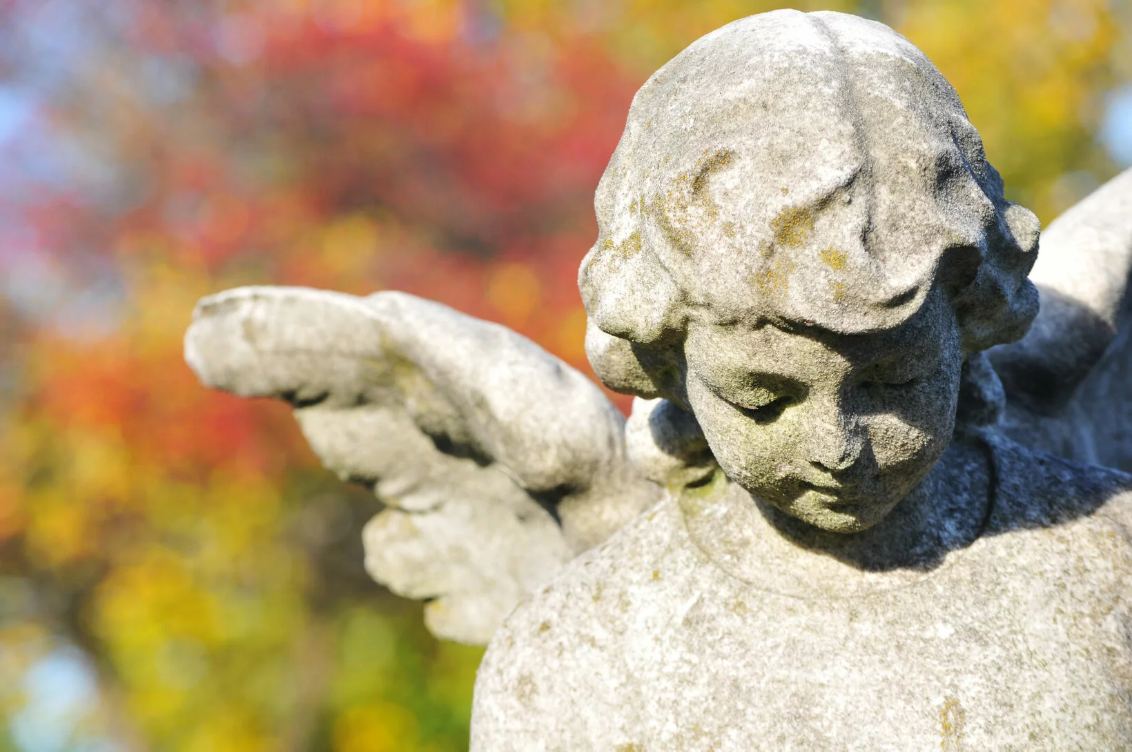 Steinfigur eines Engels mit geschlossenen Augen und ausgebreiteten Flügeln, die auf einer Begräbnisstätte steht, vor einem Hintergrund aus bunten Herbstblättern. Steinfigur eines Engels mit geschlossenen Augen und ausgebreiteten Flügeln, die auf einer Begräbnisstätte steht, vor einem Hintergrund aus bunten Herbstblättern.
